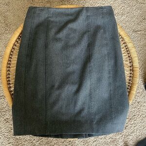 Express Skirt